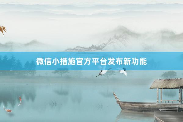 微信小措施官方平台发布新功能